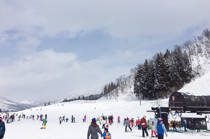 スキーを楽しむ人々